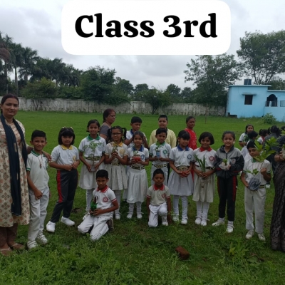 tree plantation
